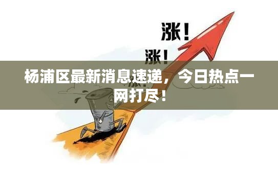 楊浦區(qū)最新消息速遞，今日熱點一網(wǎng)打盡！