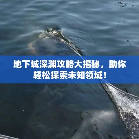 地下城深淵攻略大揭秘，助你輕松探索未知領(lǐng)域！