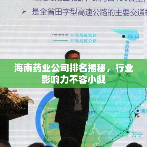 海南藥業(yè)公司排名揭秘，行業(yè)影響力不容小覷