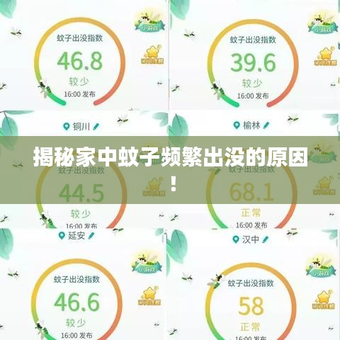 揭秘家中蚊子頻繁出沒(méi)的原因！