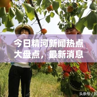 今日精河新聞熱點(diǎn)大盤點(diǎn)，最新消息綜述