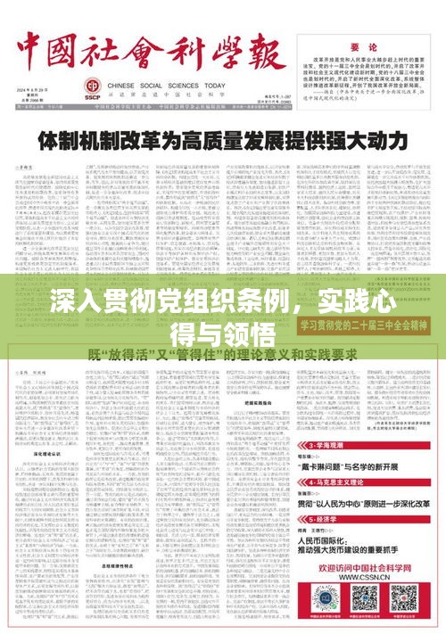 深入貫徹黨組織條例，實(shí)踐心得與領(lǐng)悟