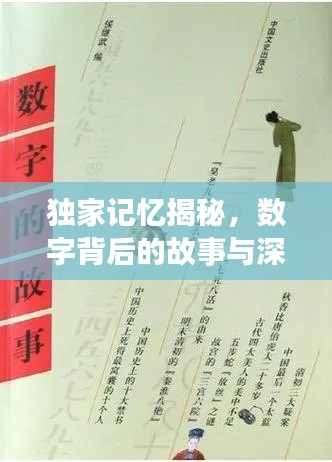 獨家記憶揭秘，數(shù)字背后的故事與深意探尋
