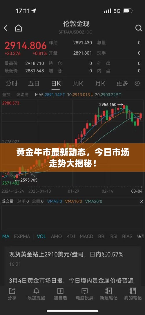 黃金牛市最新動態(tài)，今日市場走勢大揭秘！