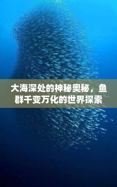 大海深處的神秘奧秘，魚群千變?nèi)f化的世界探索