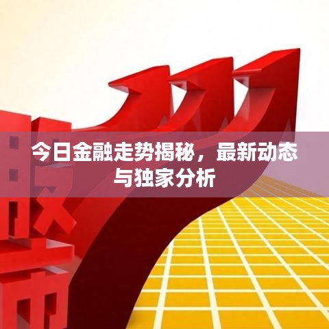 今日金融走勢(shì)揭秘，最新動(dòng)態(tài)與獨(dú)家分析