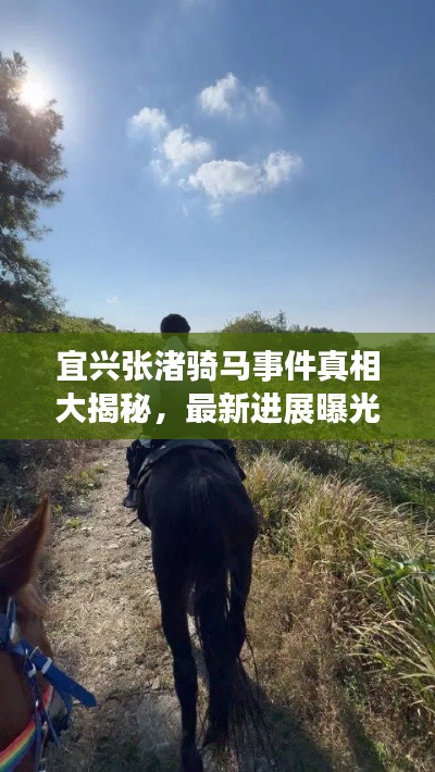 宜興張渚騎馬事件真相大揭秘，最新進(jìn)展曝光