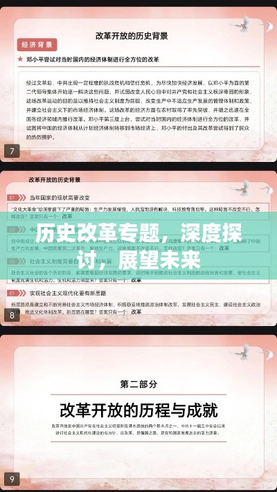 歷史改革專題，深度探討，展望未來