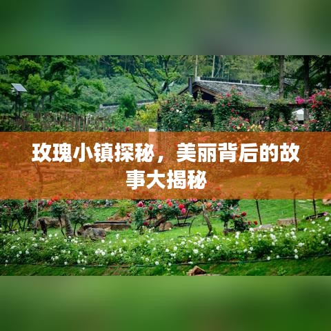 玫瑰小鎮(zhèn)探秘，美麗背后的故事大揭秘