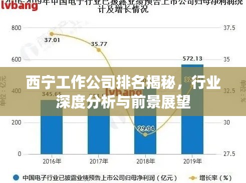 西寧工作公司排名揭秘，行業(yè)深度分析與前景展望