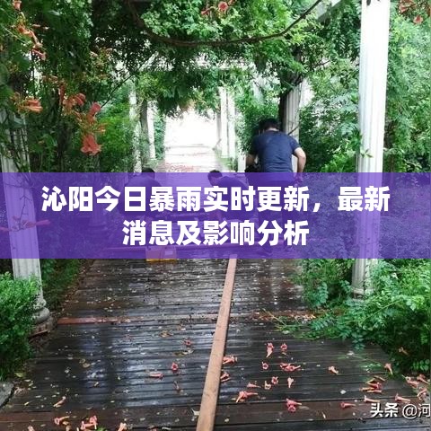 沁陽今日暴雨實時更新，最新消息及影響分析