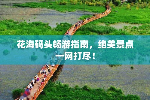 花海碼頭暢游指南，絕美景點(diǎn)一網(wǎng)打盡！