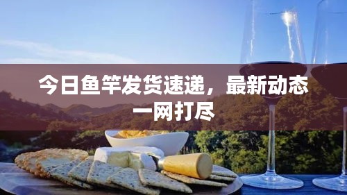 今日魚(yú)竿發(fā)貨速遞，最新動(dòng)態(tài)一網(wǎng)打盡