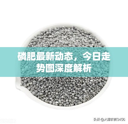 磷肥最新動(dòng)態(tài)，今日走勢(shì)圖深度解析