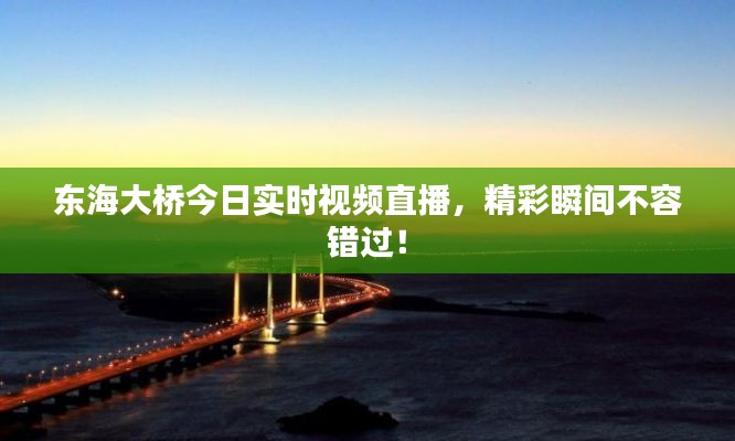 東海大橋今日實時視頻直播，精彩瞬間不容錯過！