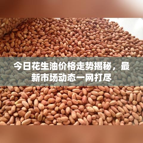 今日花生油價(jià)格走勢(shì)揭秘，最新市場(chǎng)動(dòng)態(tài)一網(wǎng)打盡