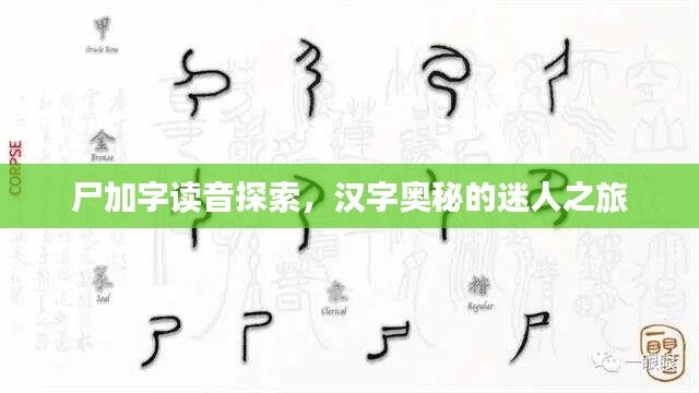 尸加字讀音探索，漢字奧秘的迷人之旅