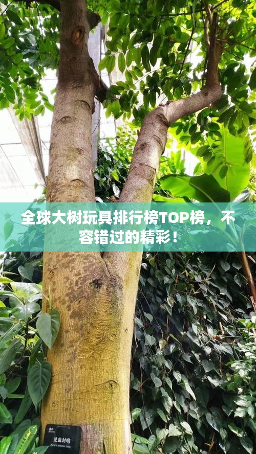 全球大樹玩具排行榜TOP榜，不容錯(cuò)過的精彩！