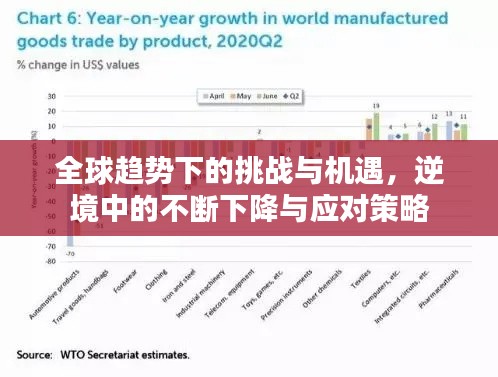 全球趨勢(shì)下的挑戰(zhàn)與機(jī)遇，逆境中的不斷下降與應(yīng)對(duì)策略