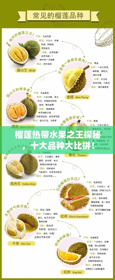 榴蓮熱帶水果之王探秘，十大品種大比拼！