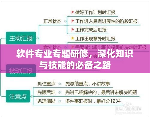 軟件專業(yè)專題研修，深化知識(shí)與技能的必備之路
