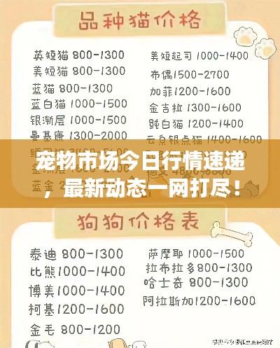 寵物市場(chǎng)今日行情速遞，最新動(dòng)態(tài)一網(wǎng)打盡！