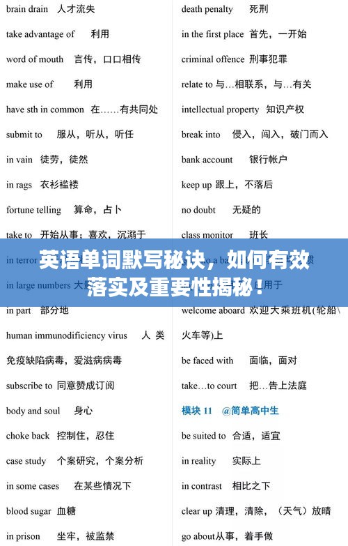 英語單詞默寫秘訣，如何有效落實(shí)及重要性揭秘！