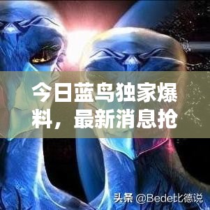 今日藍(lán)鳥獨(dú)家爆料，最新消息搶先看！