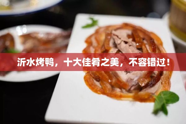 沂水烤鴨，十大佳肴之美，不容錯過！