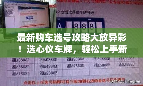 最新購車選號攻略大放異彩！選心儀車牌，輕松上手新車！