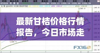 最新甘桔價格行情報告，今日市場走勢一網(wǎng)打盡！
