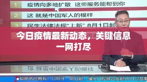 今日疫情最新動態(tài)，關鍵信息一網(wǎng)打盡