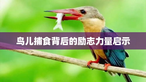 夭桃秾李