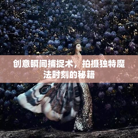 創(chuàng)意瞬間捕捉術(shù)，拍攝獨(dú)特魔法時刻的秘籍