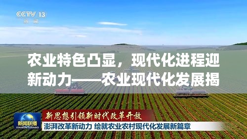 農(nóng)業(yè)特色凸顯，現(xiàn)代化進(jìn)程迎新動力——農(nóng)業(yè)現(xiàn)代化發(fā)展揭秘！