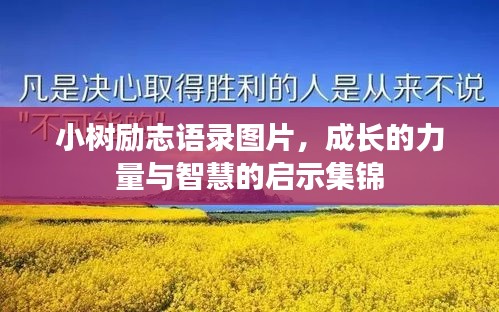 小樹勵志語錄圖片，成長的力量與智慧的啟示集錦