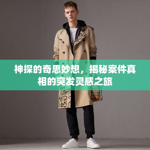 神探的奇思妙想，揭秘案件真相的突發(fā)靈感之旅