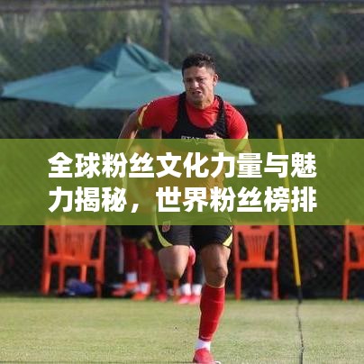 全球粉絲文化力量與魅力揭秘，世界粉絲榜排名探索