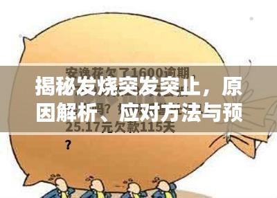 揭秘發(fā)燒突發(fā)突止，原因解析、應(yīng)對方法與預(yù)防策略全攻略