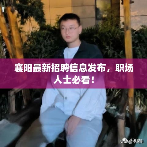 襄陽最新招聘信息發(fā)布，職場人士必看！
