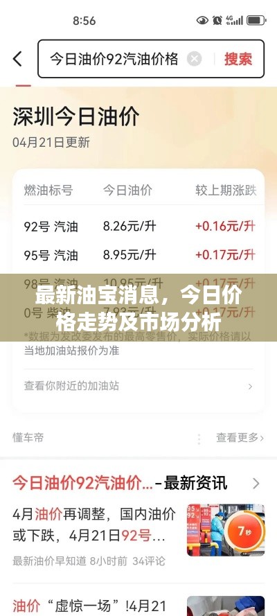 最新油寶消息，今日價(jià)格走勢(shì)及市場(chǎng)分析
