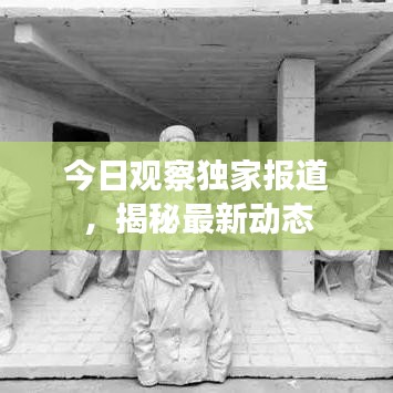 今日觀察獨家報道，揭秘最新動態(tài)