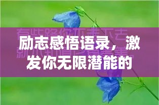 勵(lì)志感悟語(yǔ)錄，激發(fā)你無(wú)限潛能的深層啟示