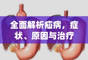 全面解析疝病，癥狀、原因與治療策略專題探討
