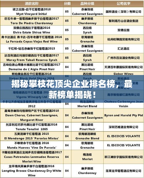 揭秘攀枝花頂尖企業(yè)排名榜，最新榜單揭曉！