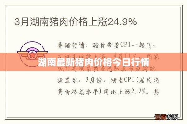 漫不經(jīng)心