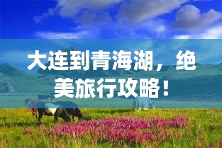 大連到青海湖，絕美旅行攻略！
