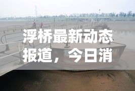 浮橋最新動態(tài)報道，今日消息更新速遞