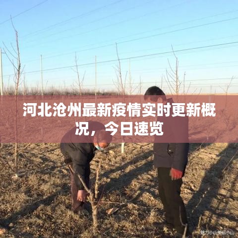 河北滄州最新疫情實(shí)時(shí)更新概況，今日速覽
