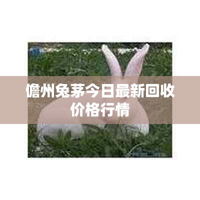 儋州兔茅今日最新回收價(jià)格行情
